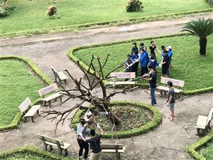 SINH VIÊN TRƯỜNG CAO ĐẲNG DƯỢC TRUNG ƯƠNG HẢI DƯƠNG HỖ TRỢ KHẮC PHỤC HẬU QUẢ SAU CƠN BÃO SỐ 3