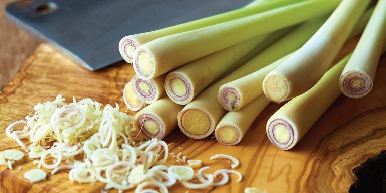 Cây sả
